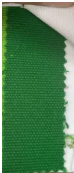 Canvas Tote Bag w/ Gold Buckle Hardware - Green